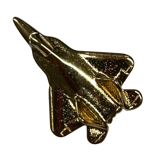 F-22 Raptor (3-D cast)