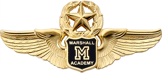 4294SW Star & Wreath