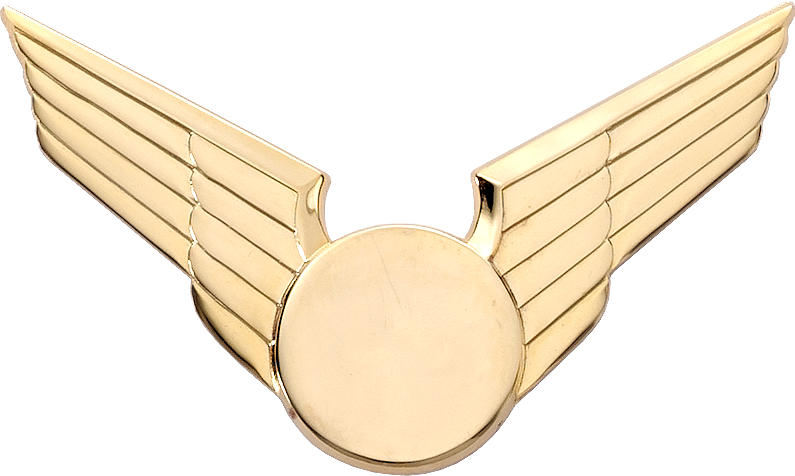 7960 EMT Cap Badge