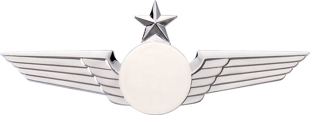 2136S Star Wing with Generic Emblem