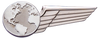 2146 Half Wing with Generic Emblem