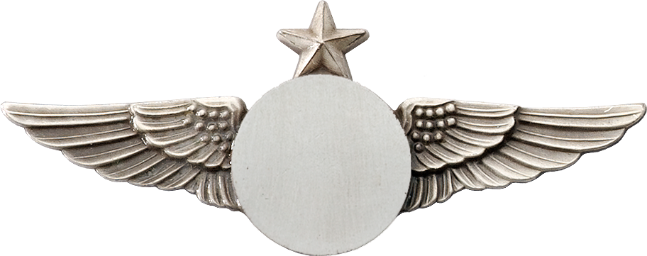 6425S Star Wing with Generic Emblem