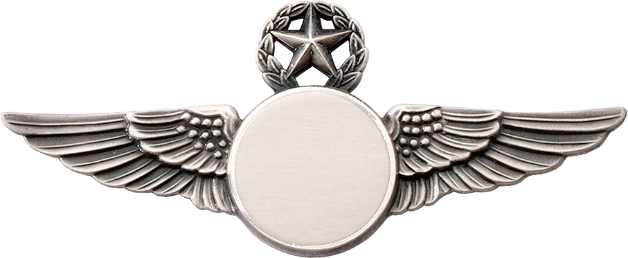 6425SW Star & Wreath Wing with Generic Emblem