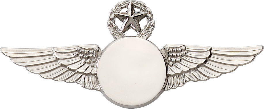 6425SW Star & Wreath Wing with Generic Emblem