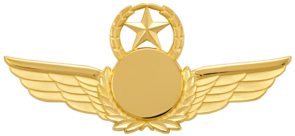 7270SW Star & Wreath Wing with Generic Emblem