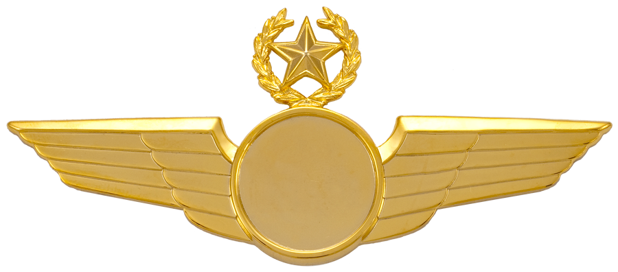 7781SW Star & Wreath Wing with Generic Emblem