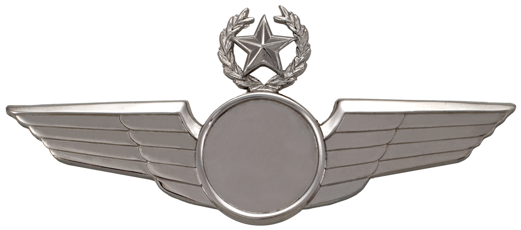 7781SW Star & Wreath Wing with Generic Emblem