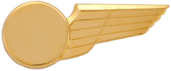 7961 Half Wing with Generic Emblem