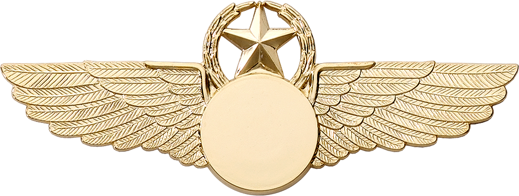 9640SW Star & Wreath Wing with Generic Emblem