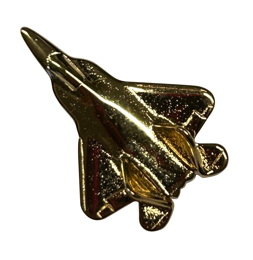 F-22 Raptor (3-D cast)