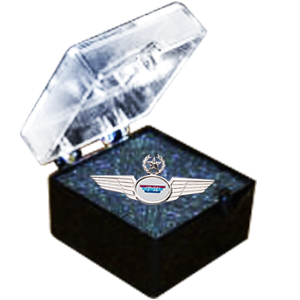 Plastic Wing Box 324 (Large) – GreatWings